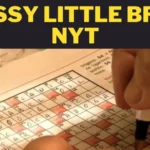 The sassy little brat nyt: A Guide to Living Life to the Fullest