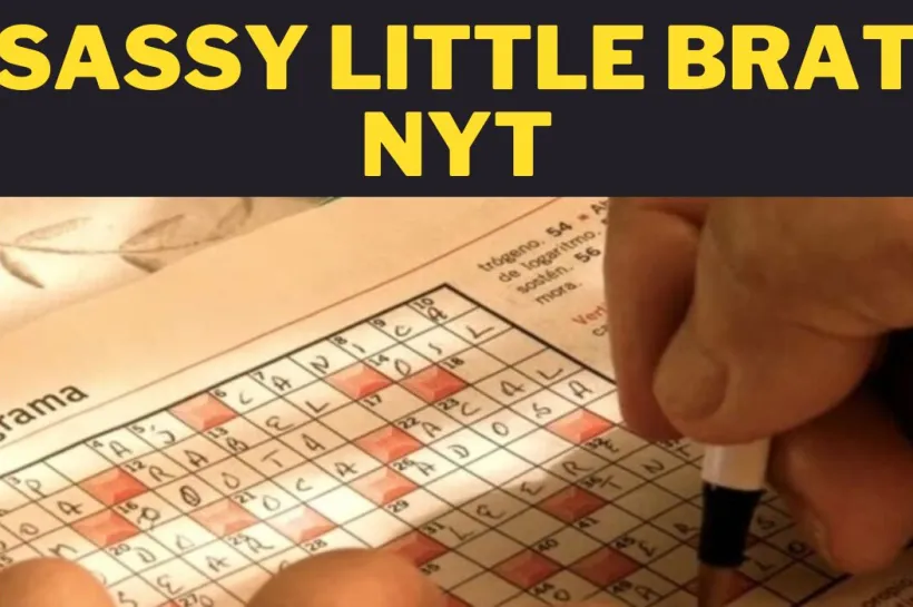 The sassy little brat nyt: A Guide to Living Life to the Fullest